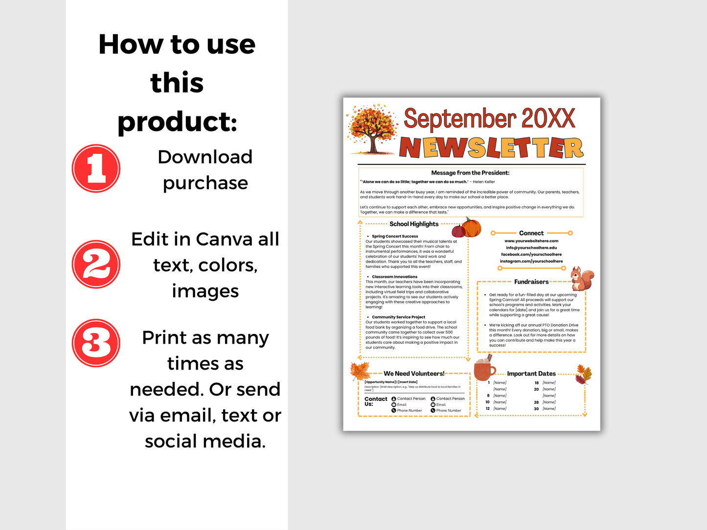 EDITABLE 12 Month PTO PTA Newsletter Template Bundle
