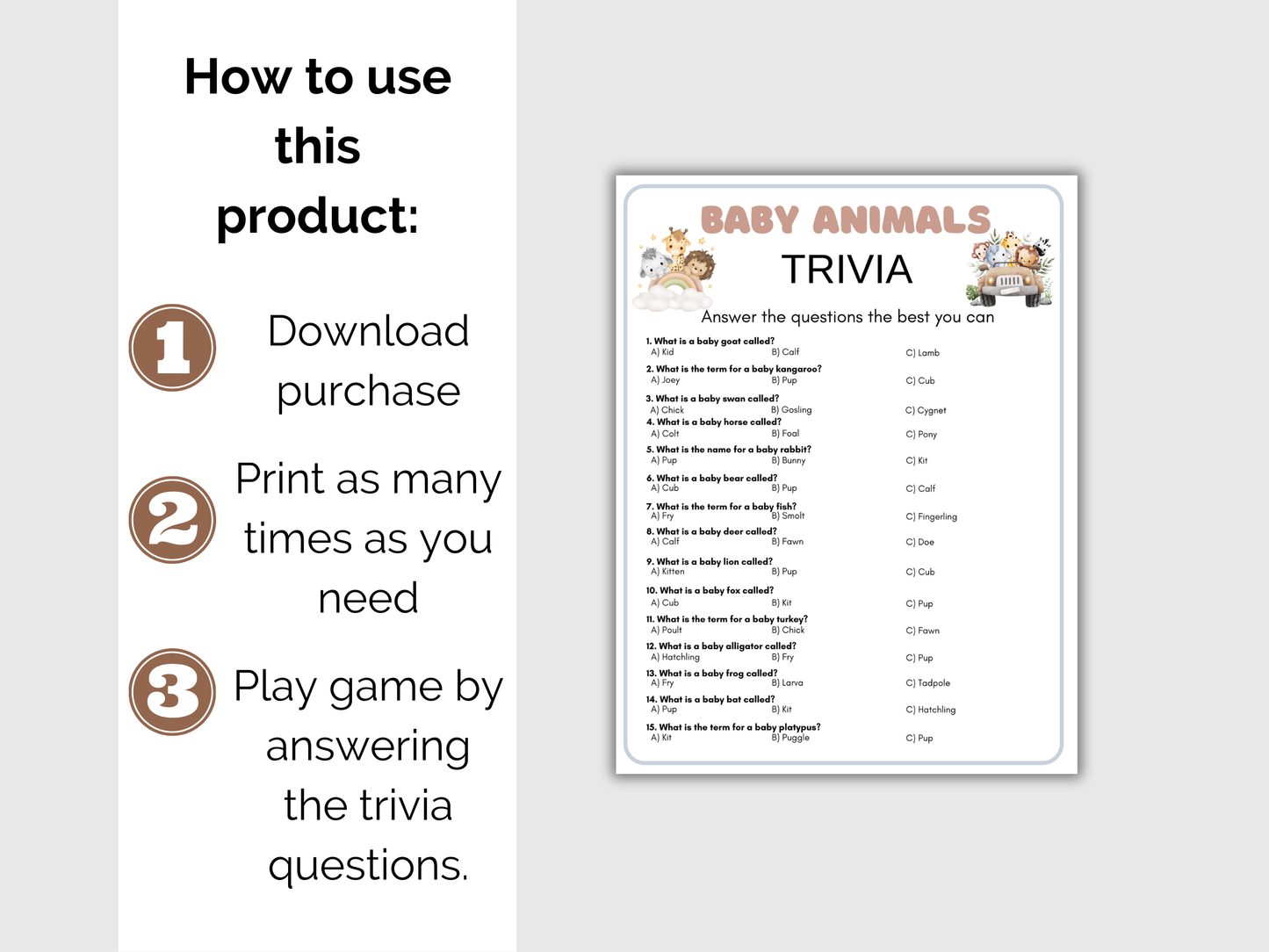 Baby Animal Trivia Game