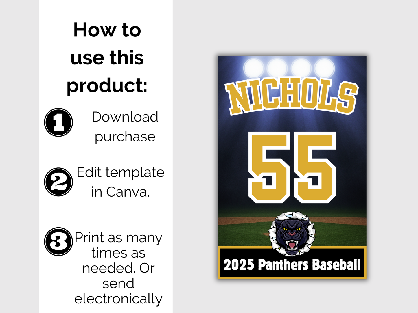 Editable Baseball Team Roster Template