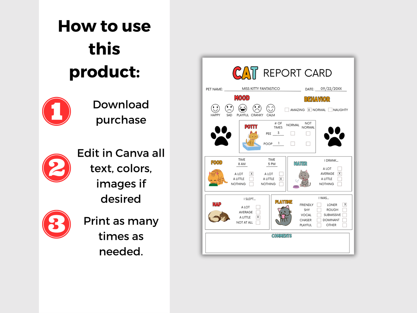 EDITABLE Cat Report Card