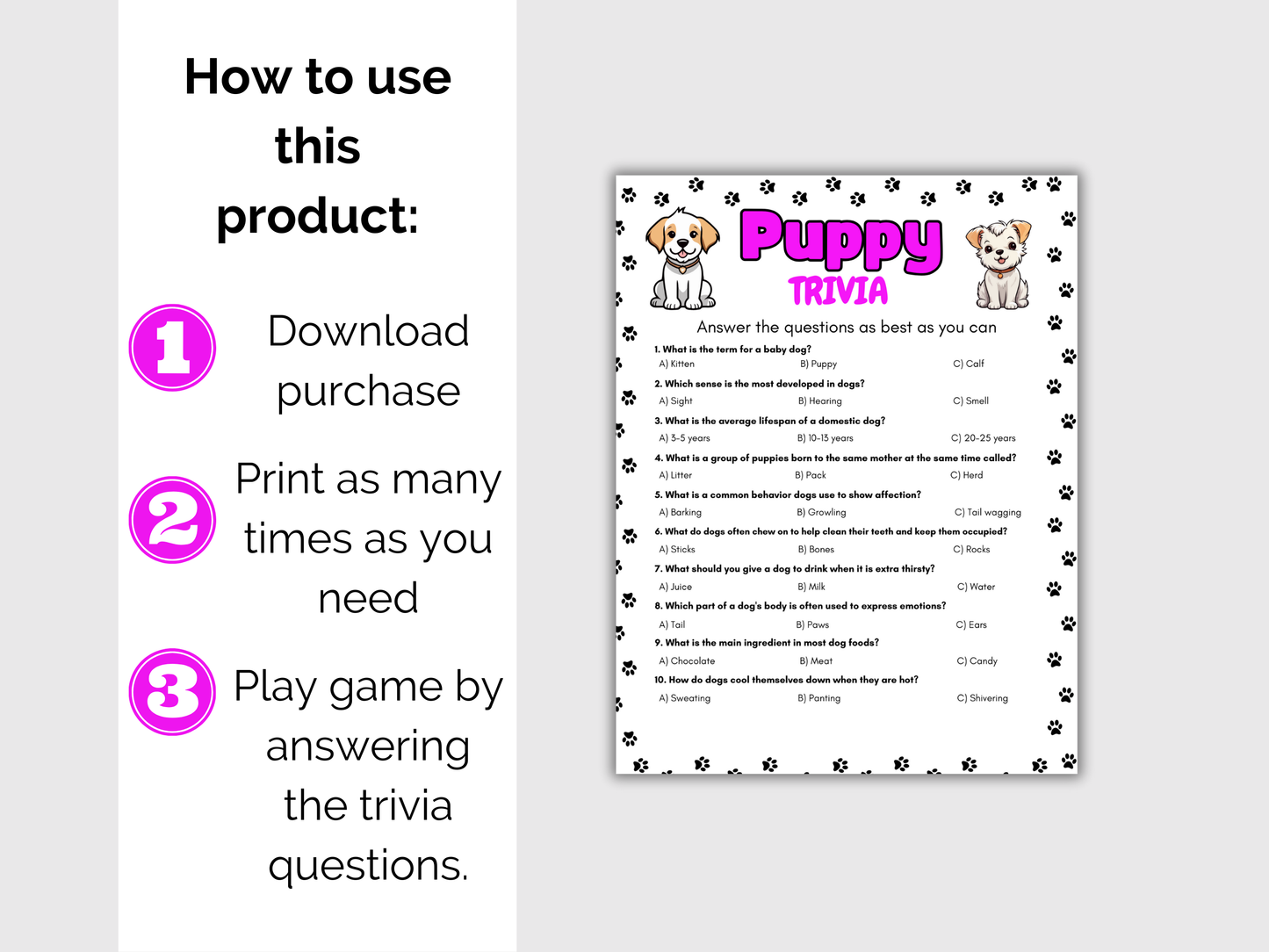 Dog Trivia Game