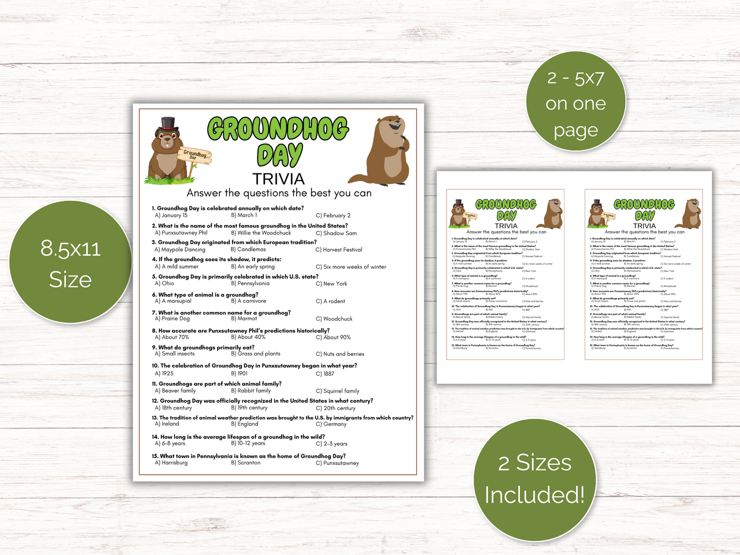 Groundhog Trivia Game
