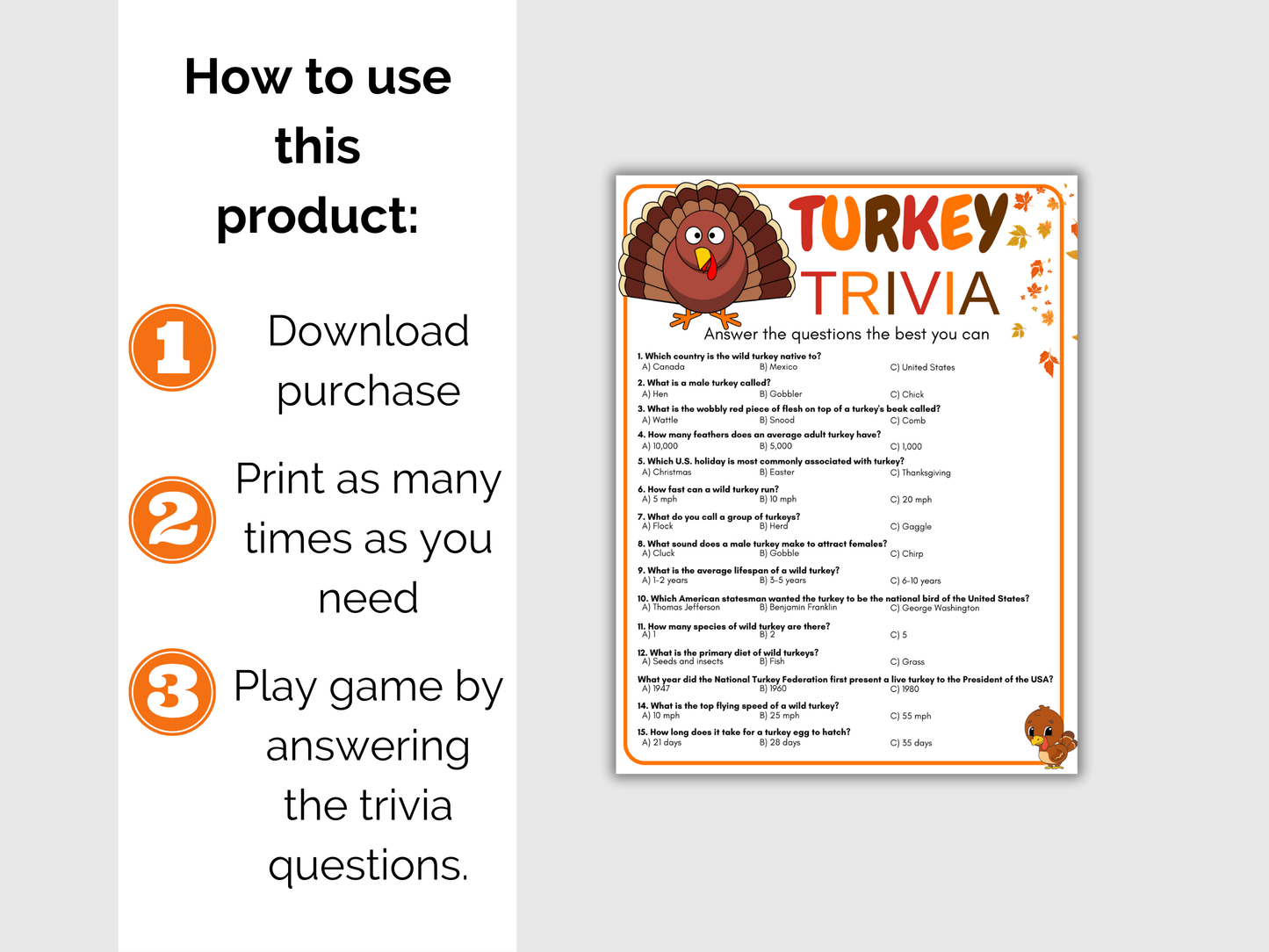 Turkey Trivia Game