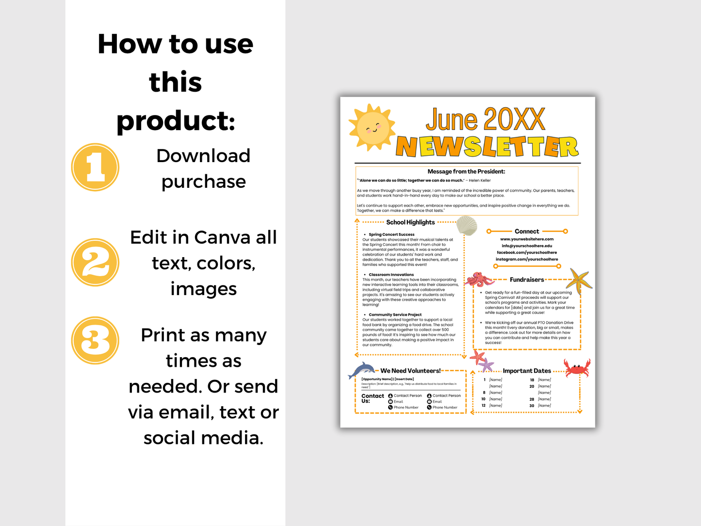 EDITABLE June PTO PTA Newsletter Template