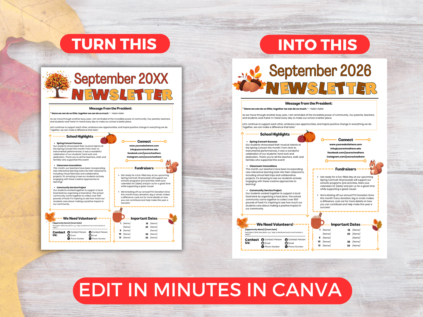 EDITABLE September PTO PTA Newsletter Template
