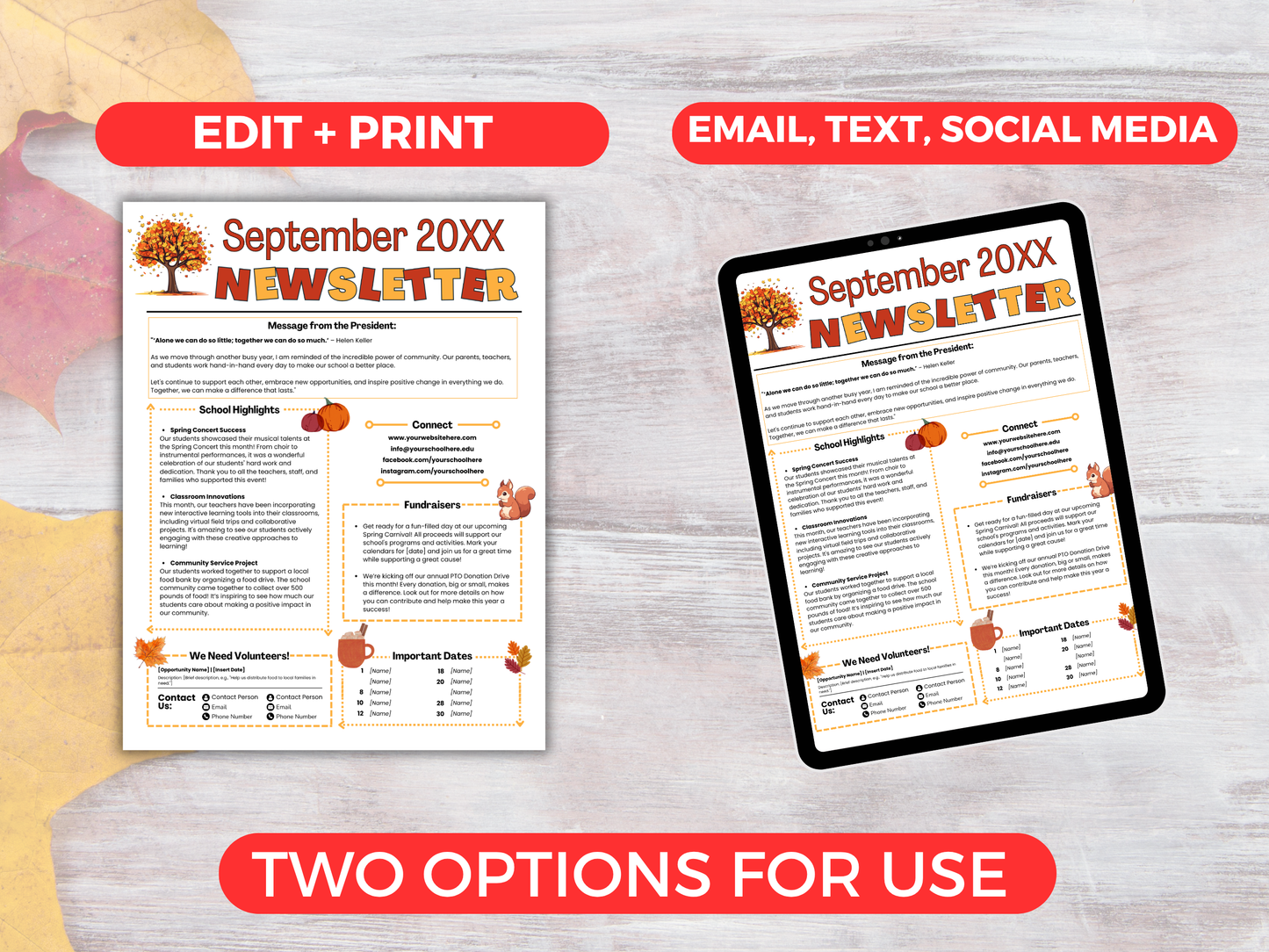 EDITABLE September PTO PTA Newsletter Template