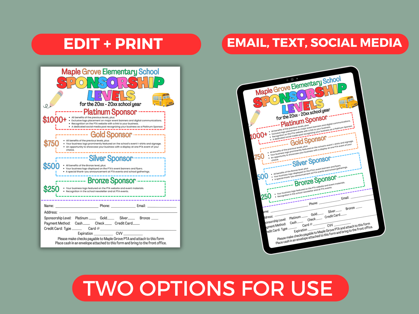 EDITABLE PTO/PTA Sponsorship Levels Flyer Template