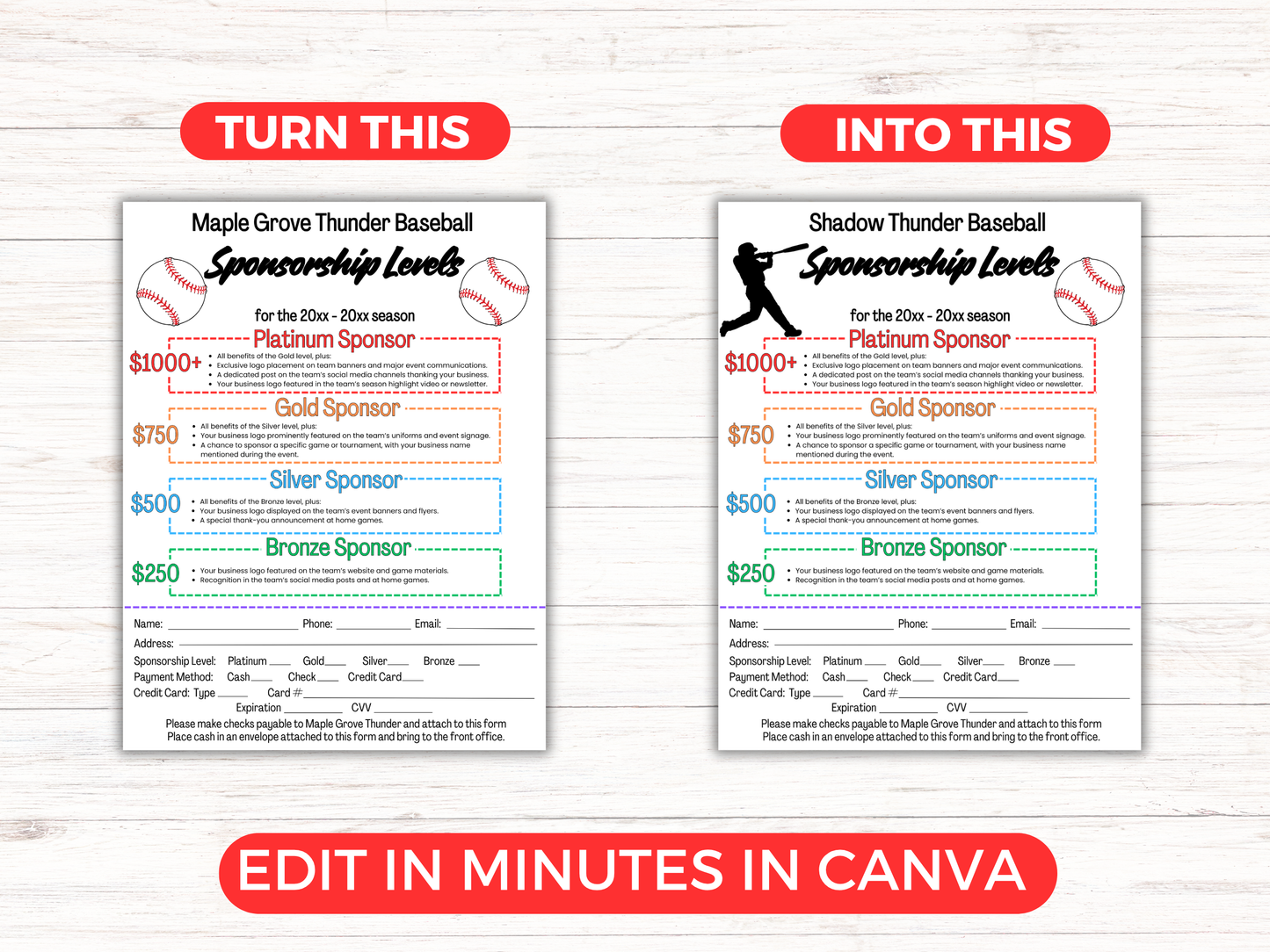 EDITABLE Baseball Sponsorship Levels Flyer Template