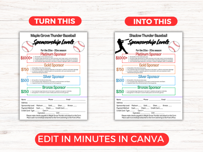 EDITABLE Baseball Sponsorship Levels Flyer Template