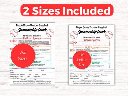 EDITABLE Baseball Sponsorship Levels Flyer Template