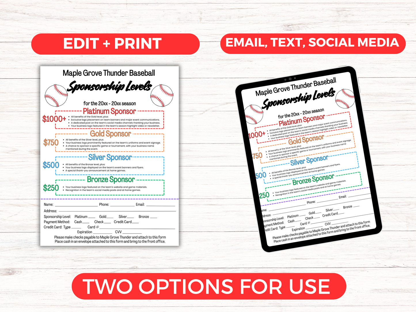 EDITABLE Baseball Sponsorship Levels Flyer Template