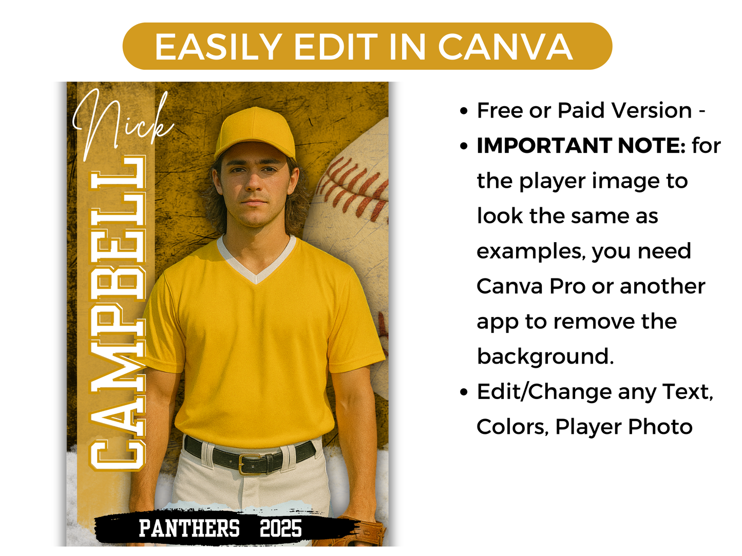 Editable Senior Baseball Banner Template