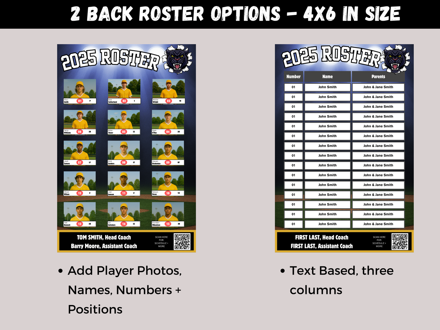 Editable Baseball Team Roster Template