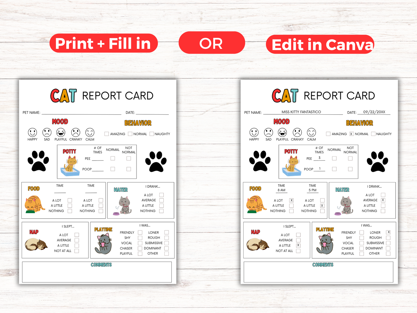 EDITABLE Cat Report Card