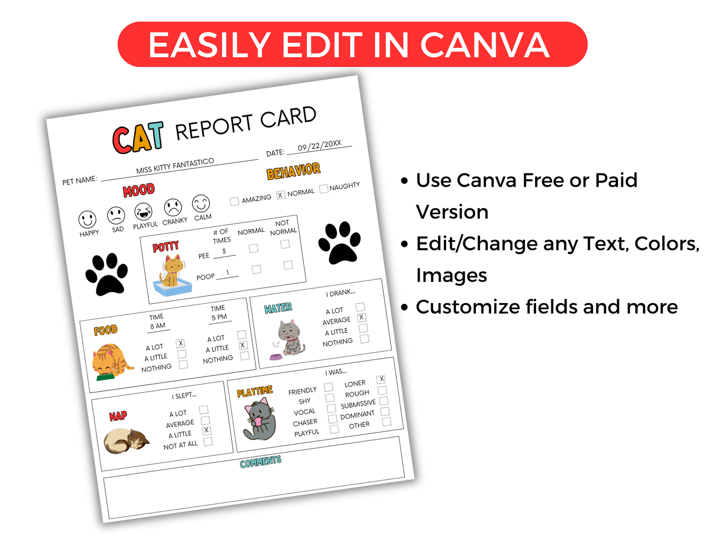 EDITABLE Cat Report Card