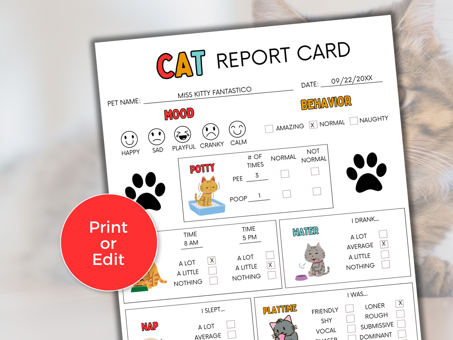 EDITABLE Cat Report Card