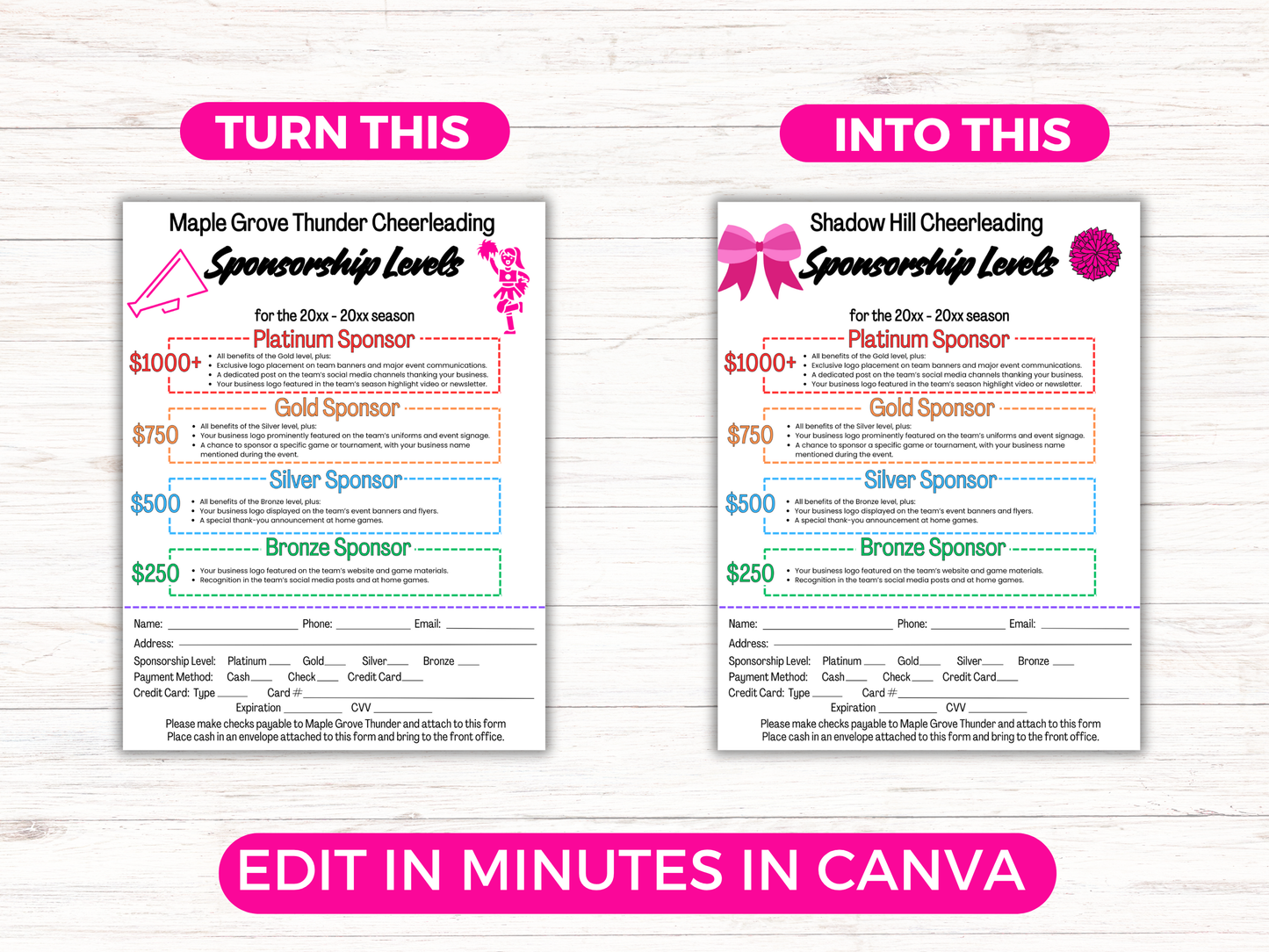 EDITABLE Cheer Sponsorship Levels Flyer Template