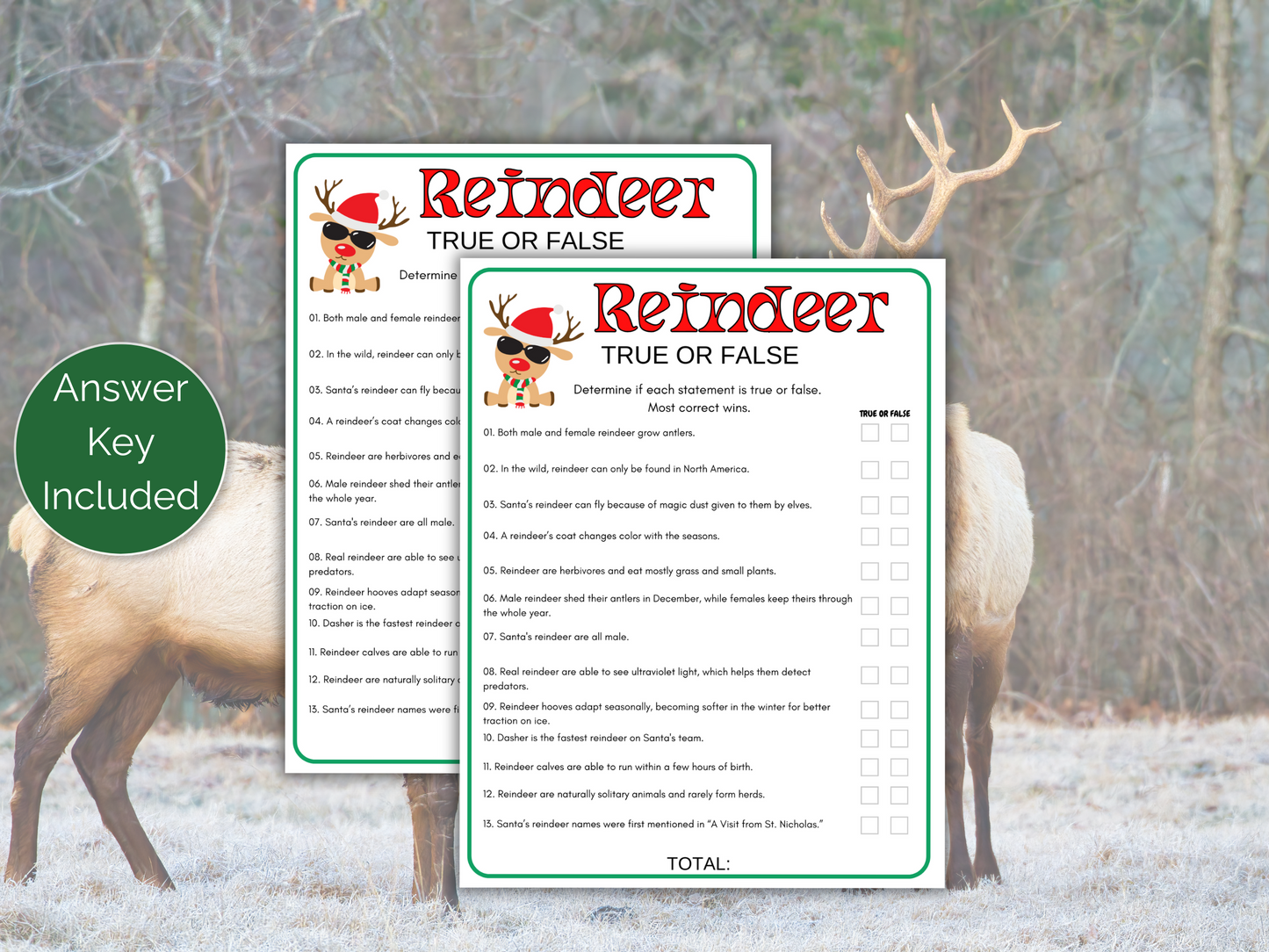 Reindeer True or False