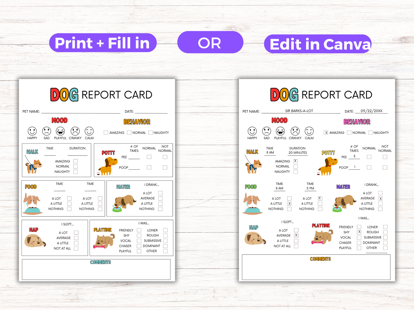 EDITABLE Dog Report Card