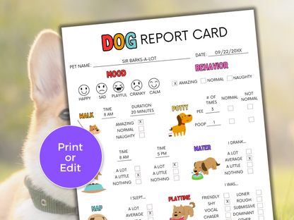 EDITABLE Dog Report Card