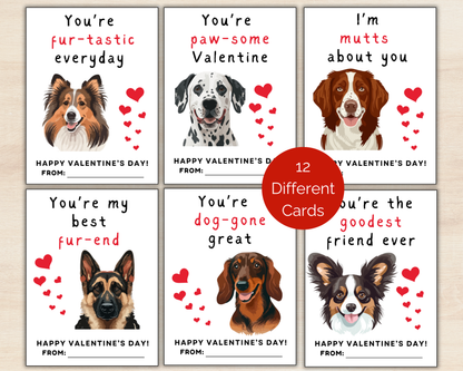 Dog Valentine Cards