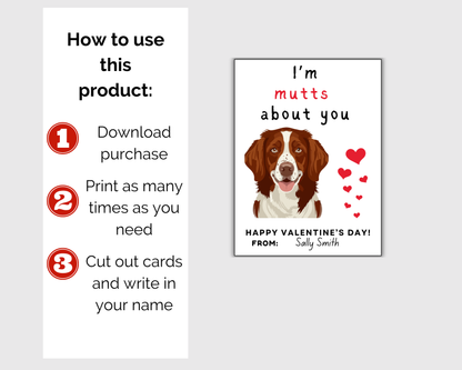 Dog Valentine Cards