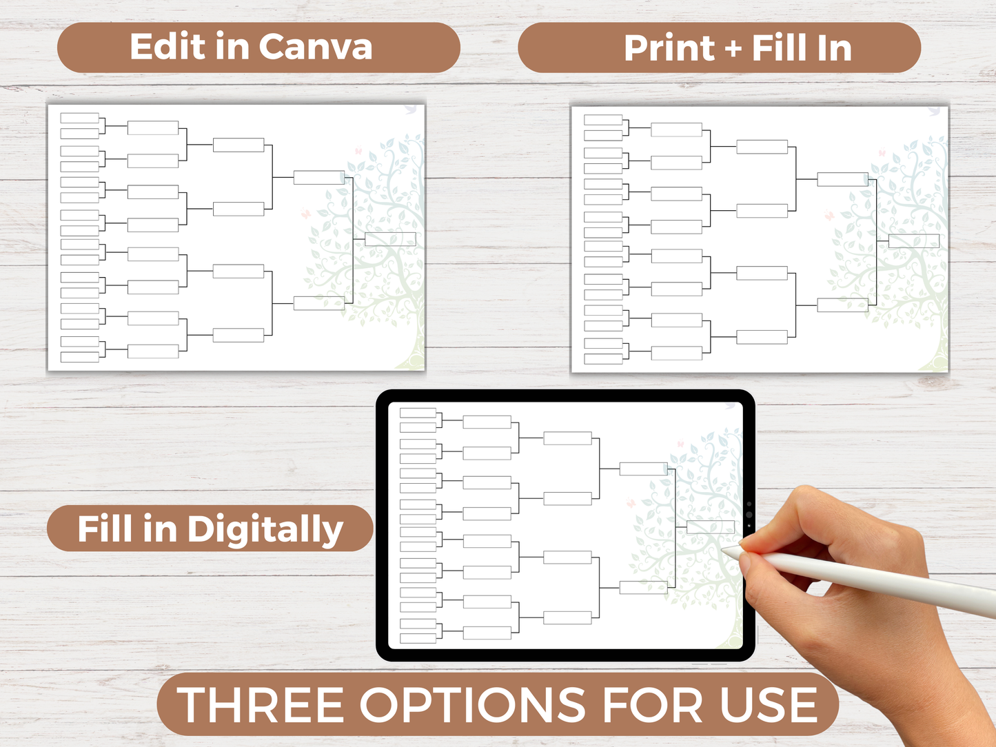 Editable Family Tree Chart