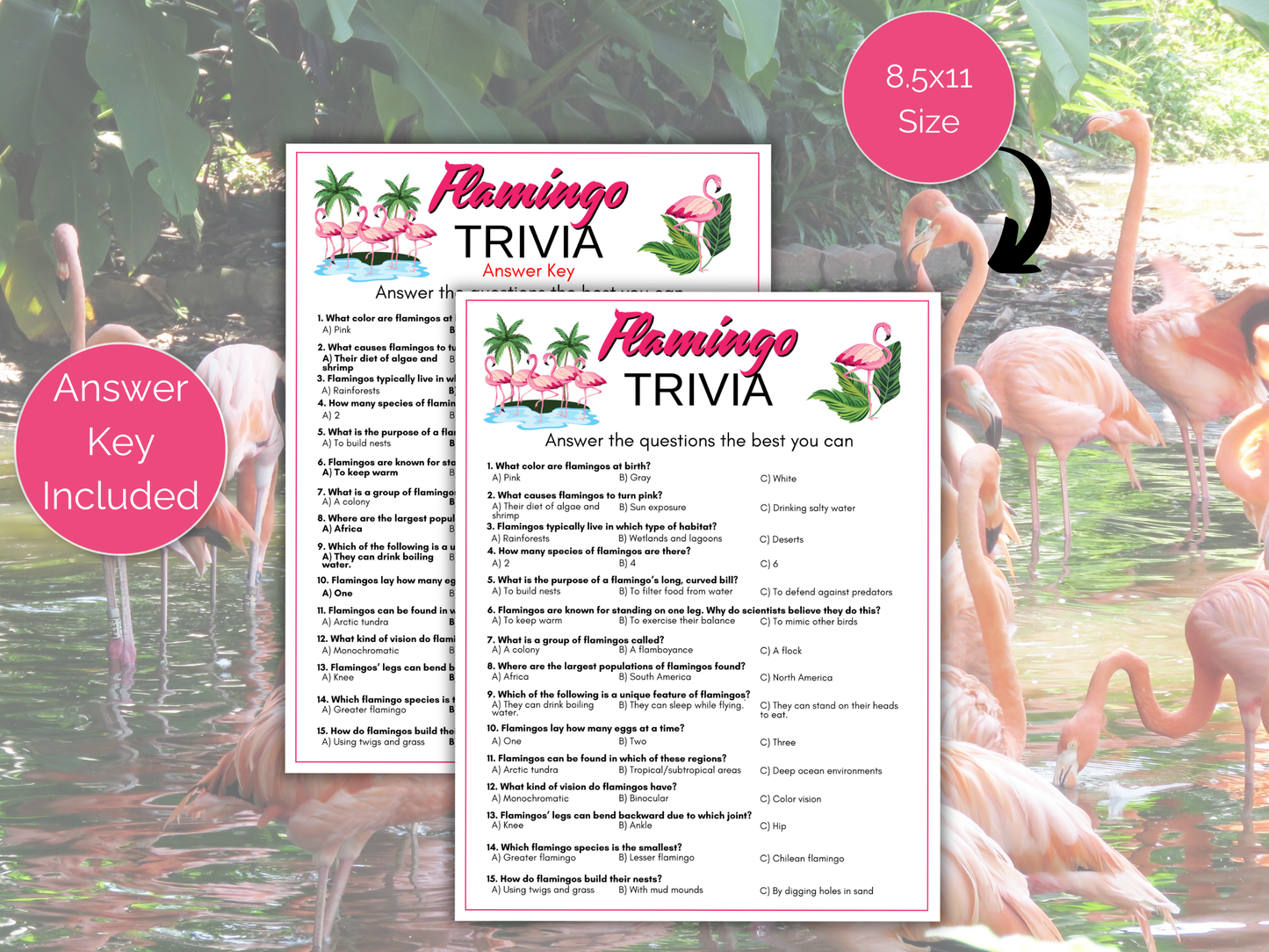 Flamingo Trivia Game
