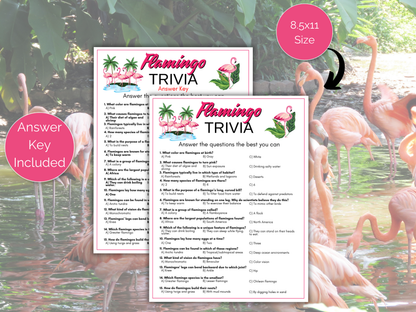 Flamingo Trivia Game