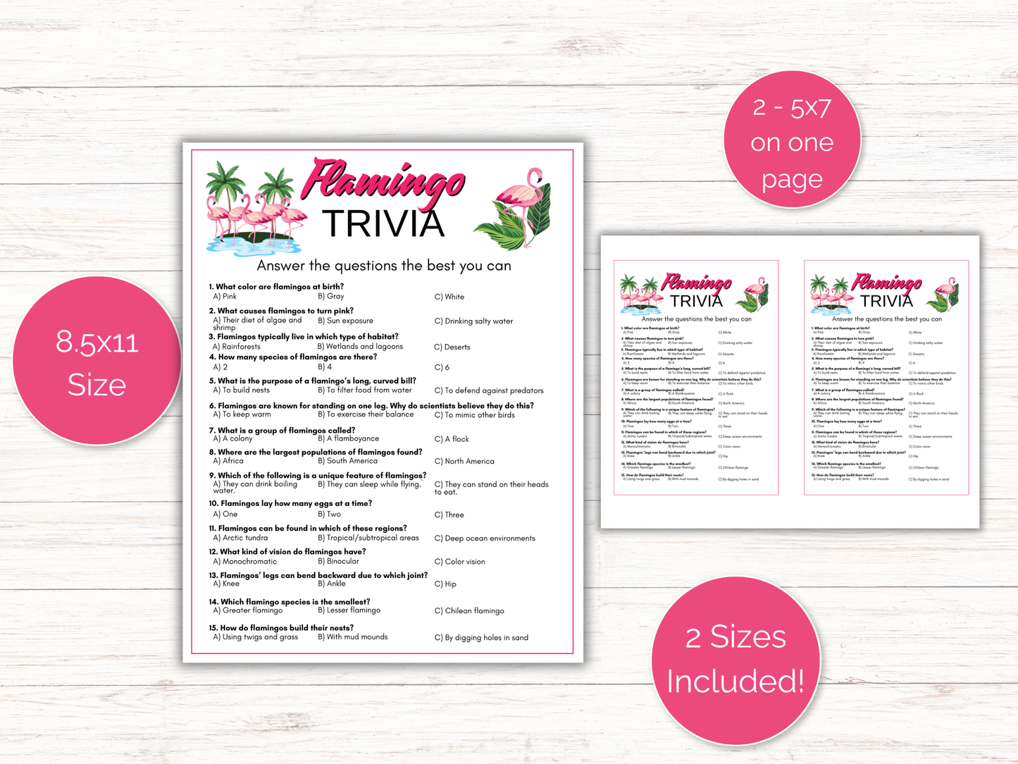 Flamingo Trivia Game