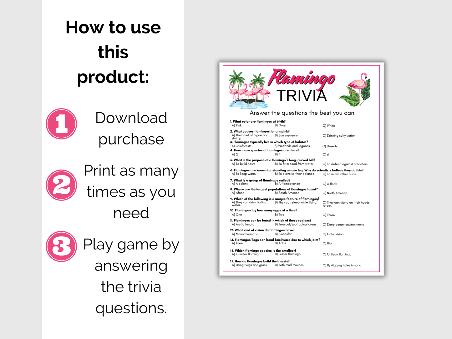 Flamingo Trivia Game