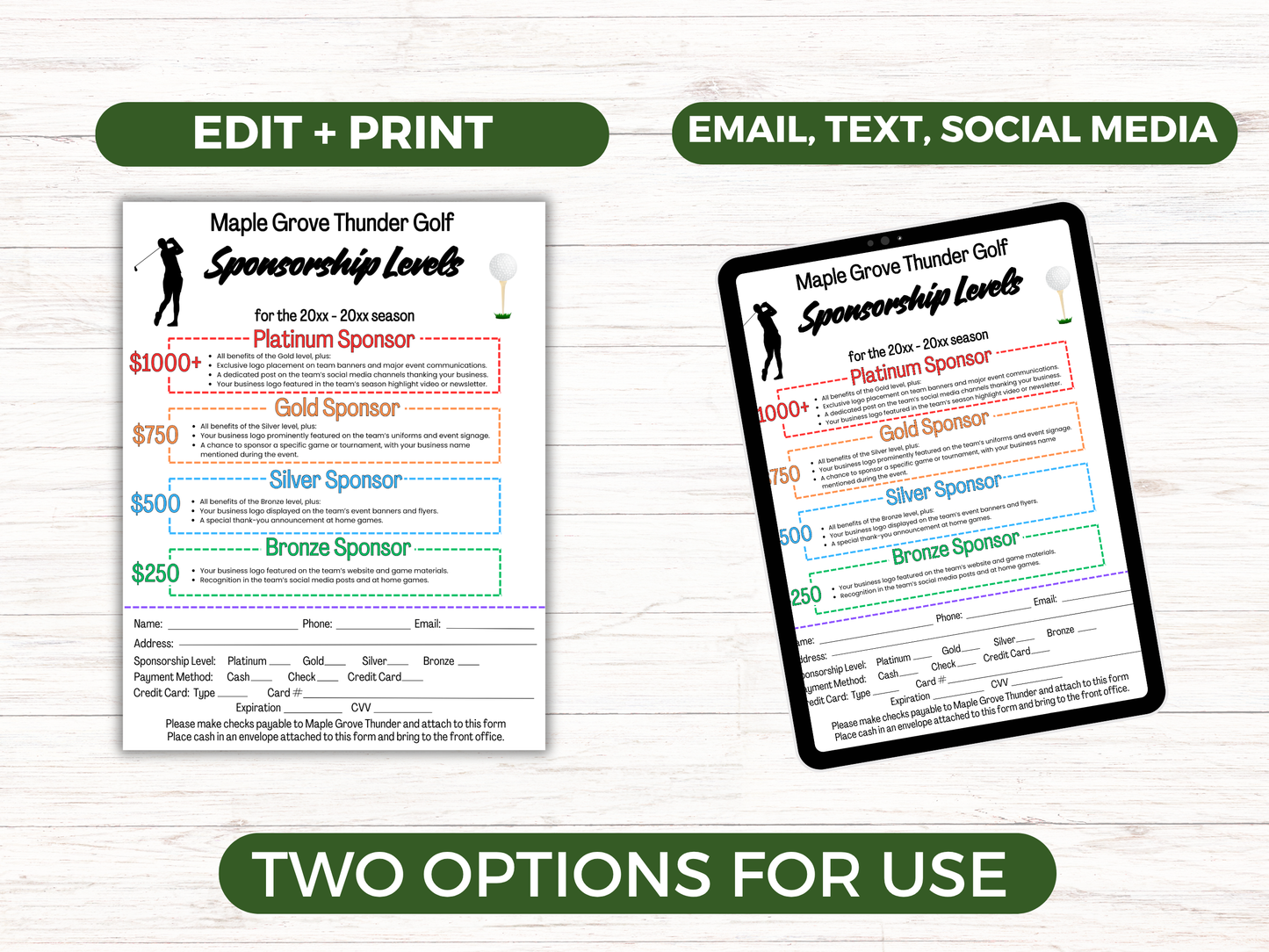 EDITABLE Golf Sponsorship Levels Flyer Template