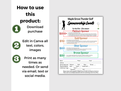 EDITABLE Golf Sponsorship Levels Flyer Template