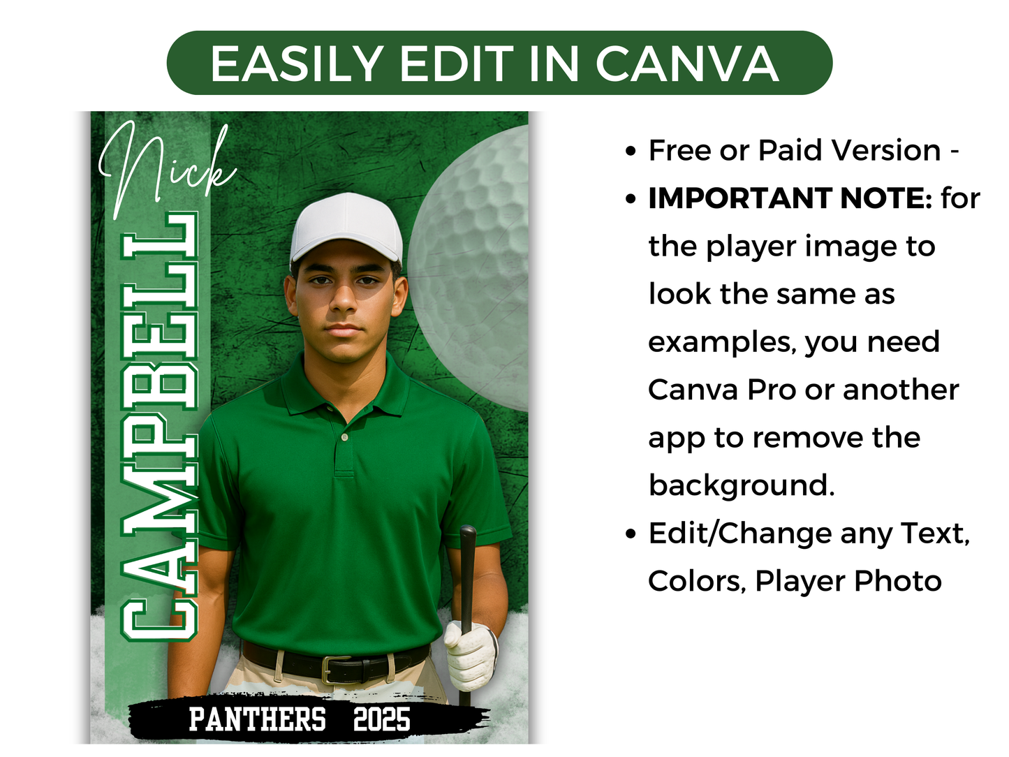 Editable Senior Golf Banner Template