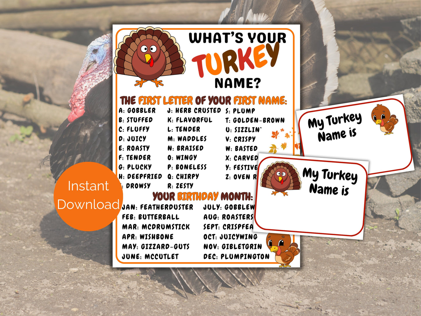 What's Your Turkey Name Game + Name Tags