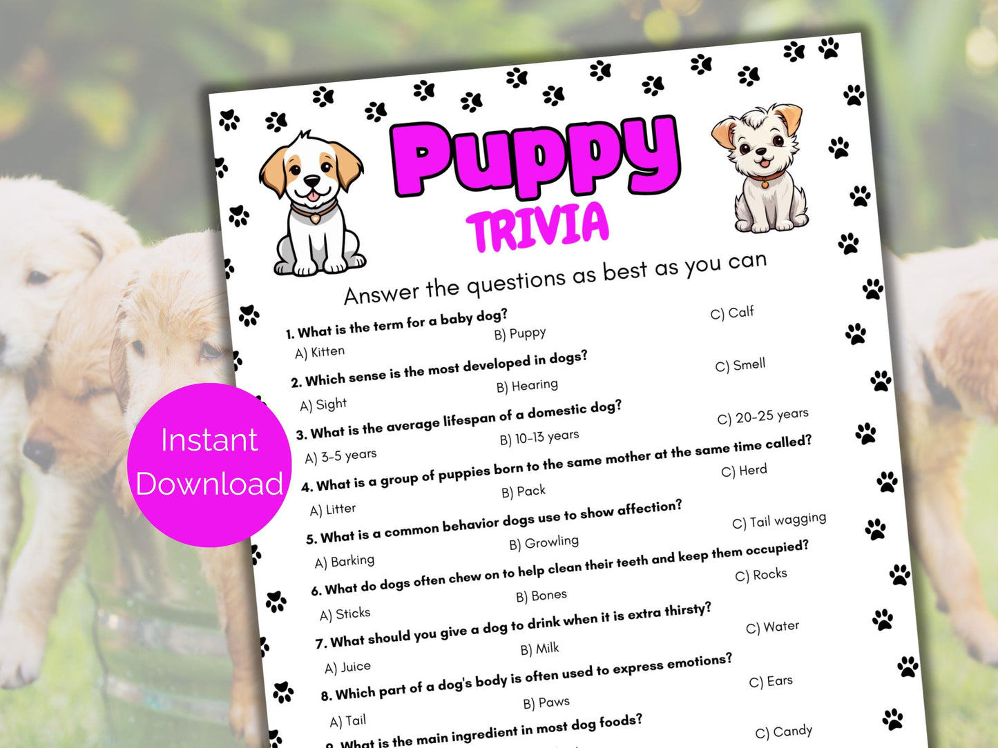 Dog Trivia Game