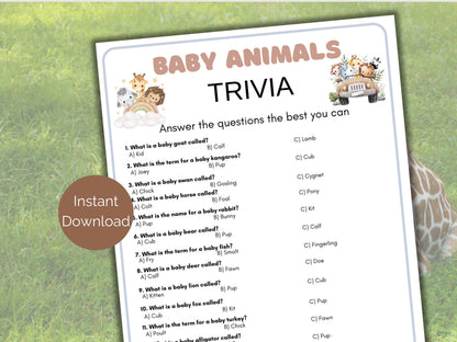 Baby Animal Trivia Game