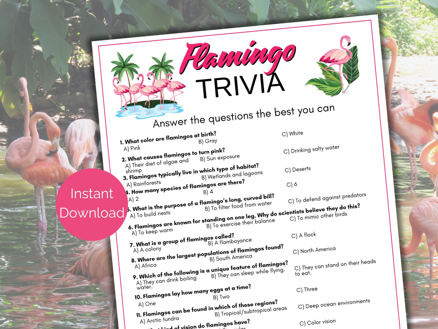 Flamingo Trivia Game