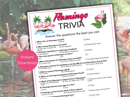Flamingo Trivia Game