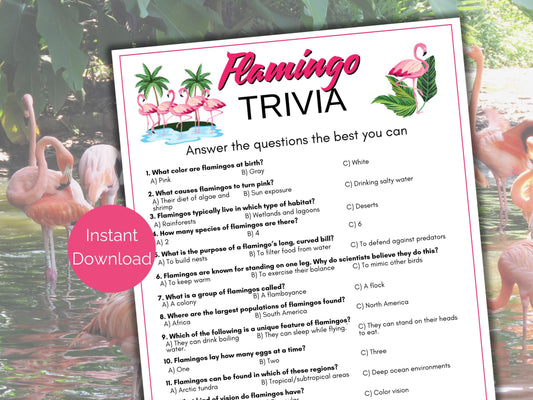 Flamingo Trivia Game