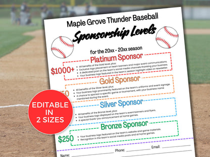 EDITABLE Baseball Sponsorship Levels Flyer Template