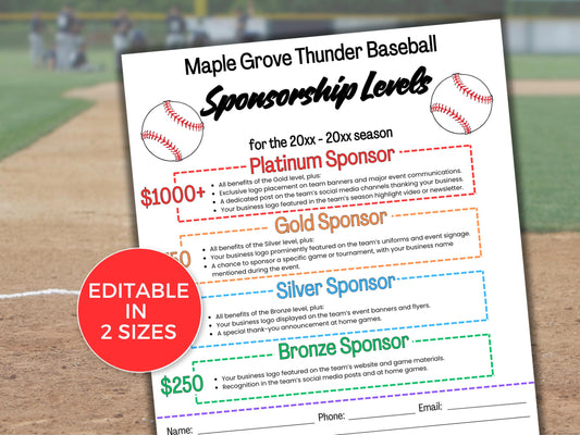 EDITABLE Baseball Sponsorship Levels Flyer Template