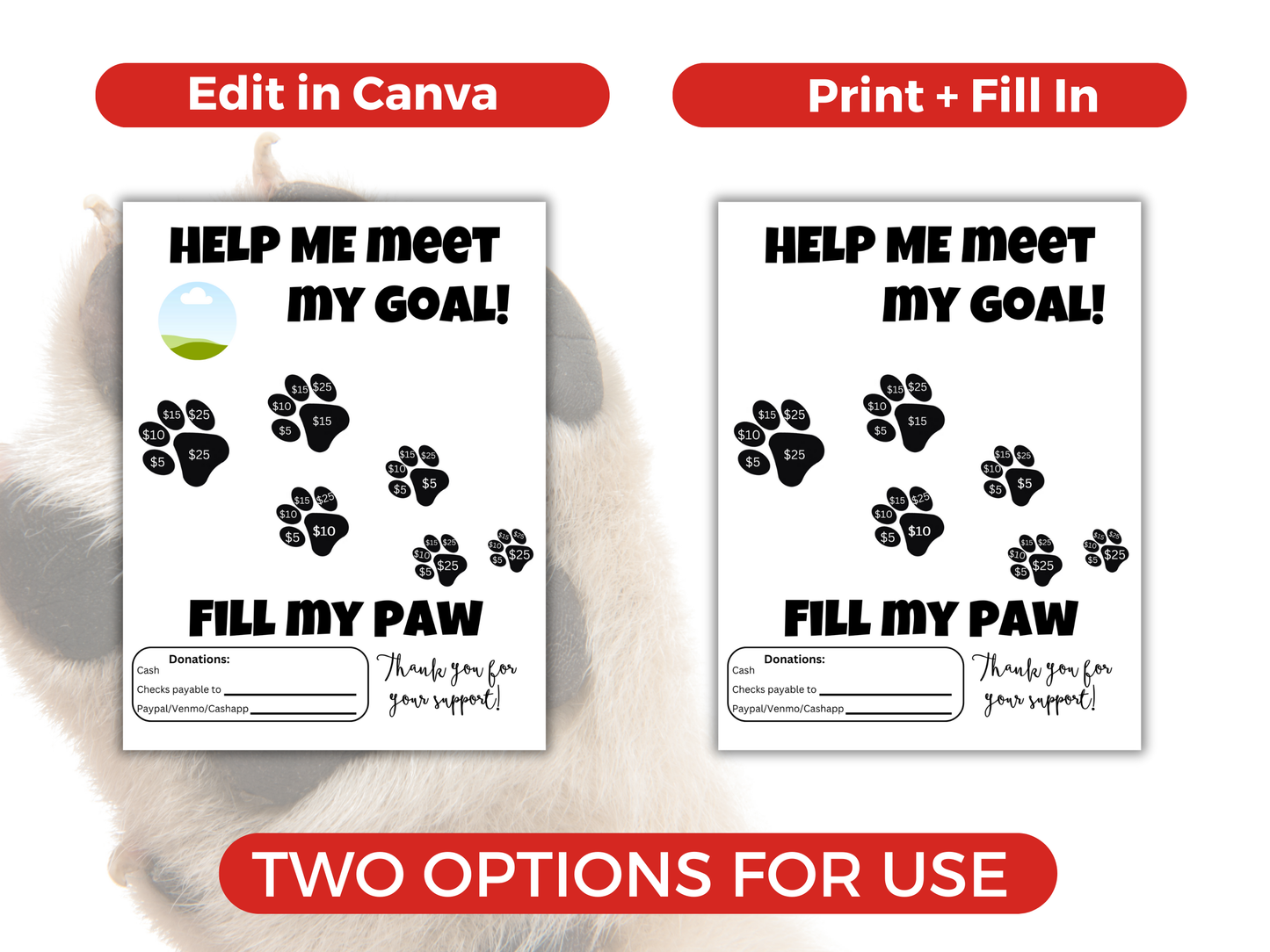 Editable Fill My Paw Fundraiser Template
