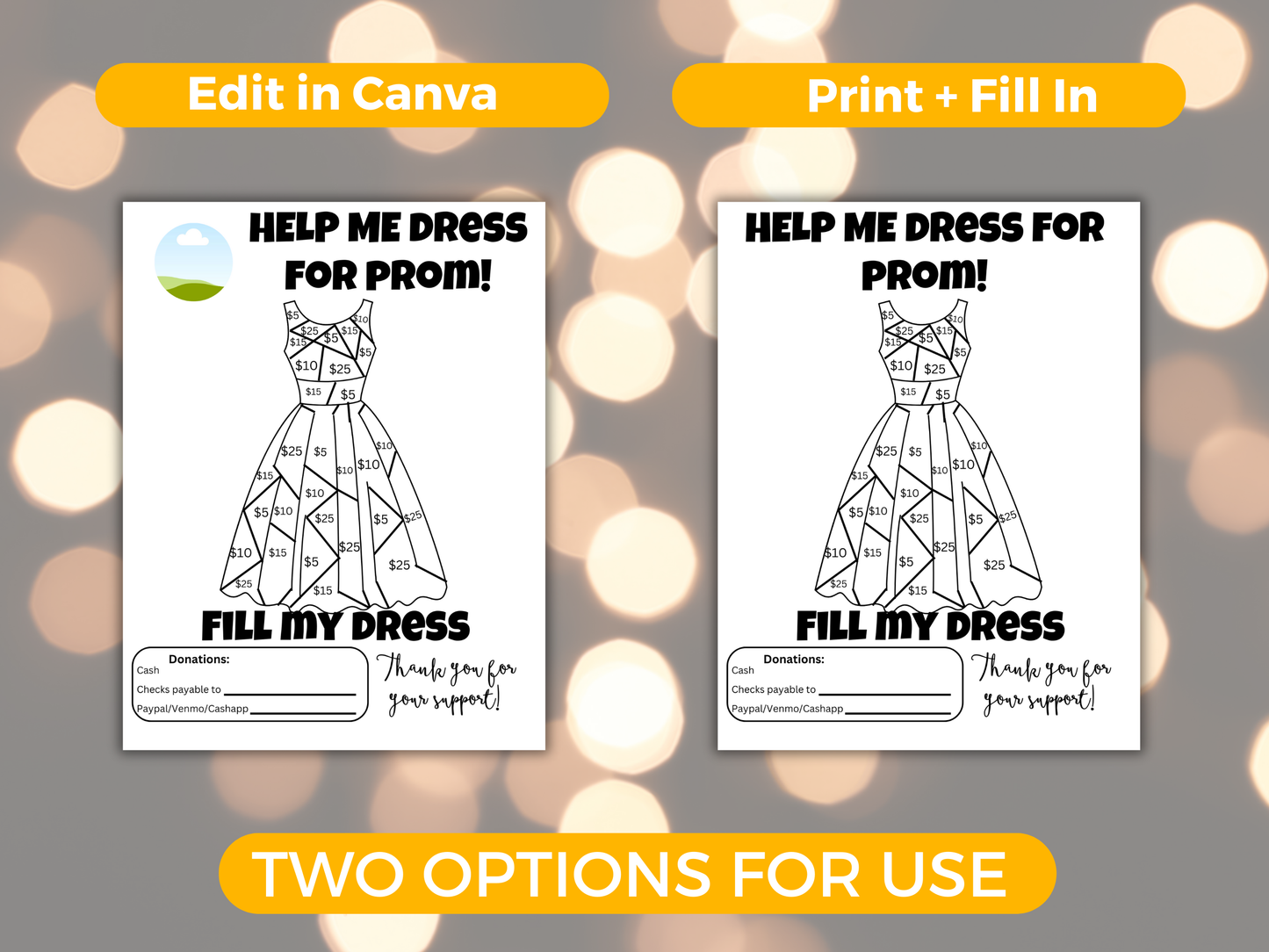 Editable Fill My Dress Fundraiser Template
