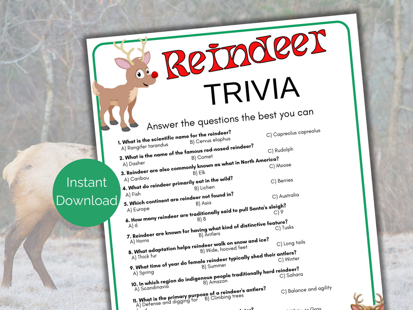 Reindeer Trivia