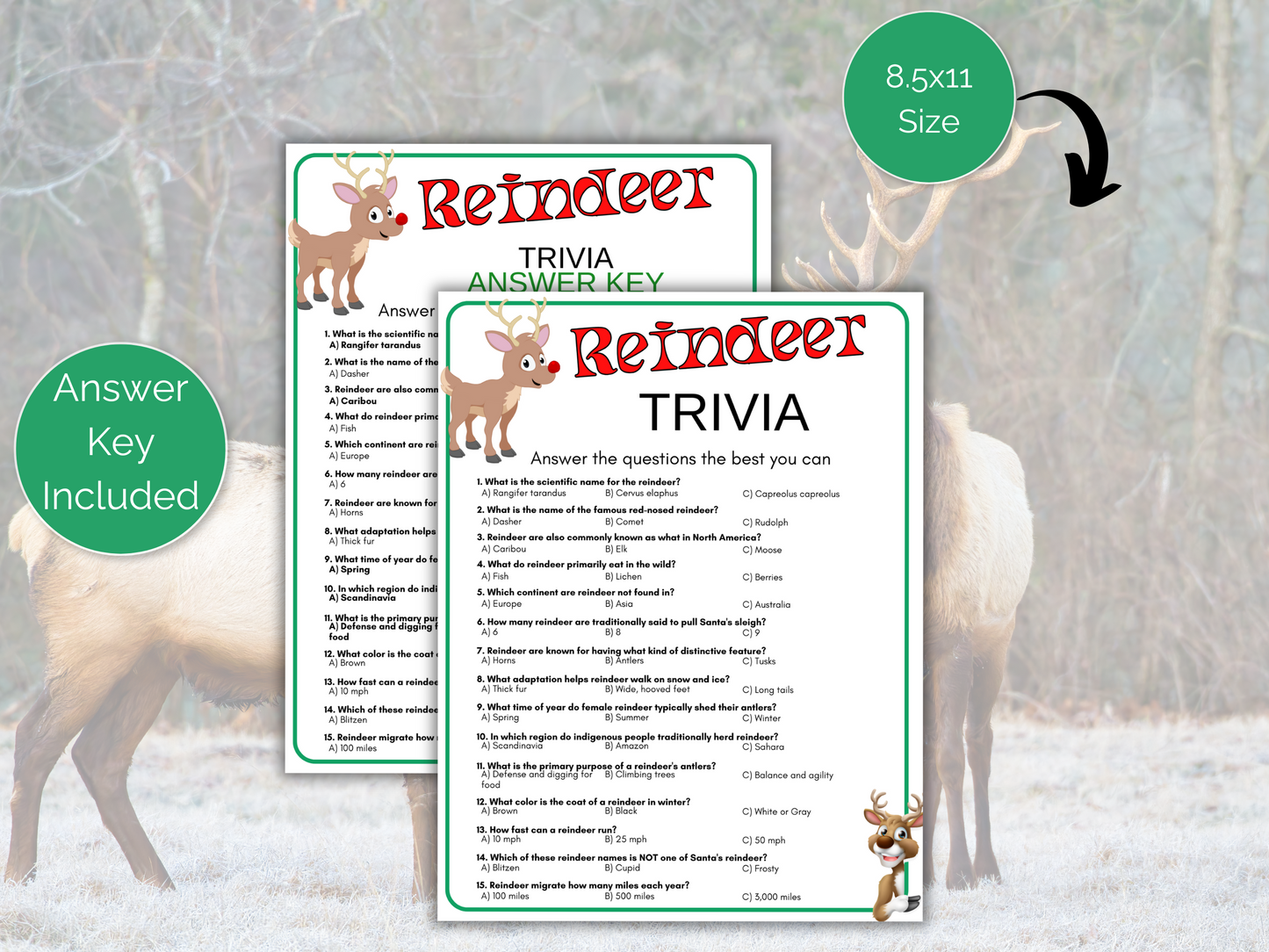 Reindeer Trivia