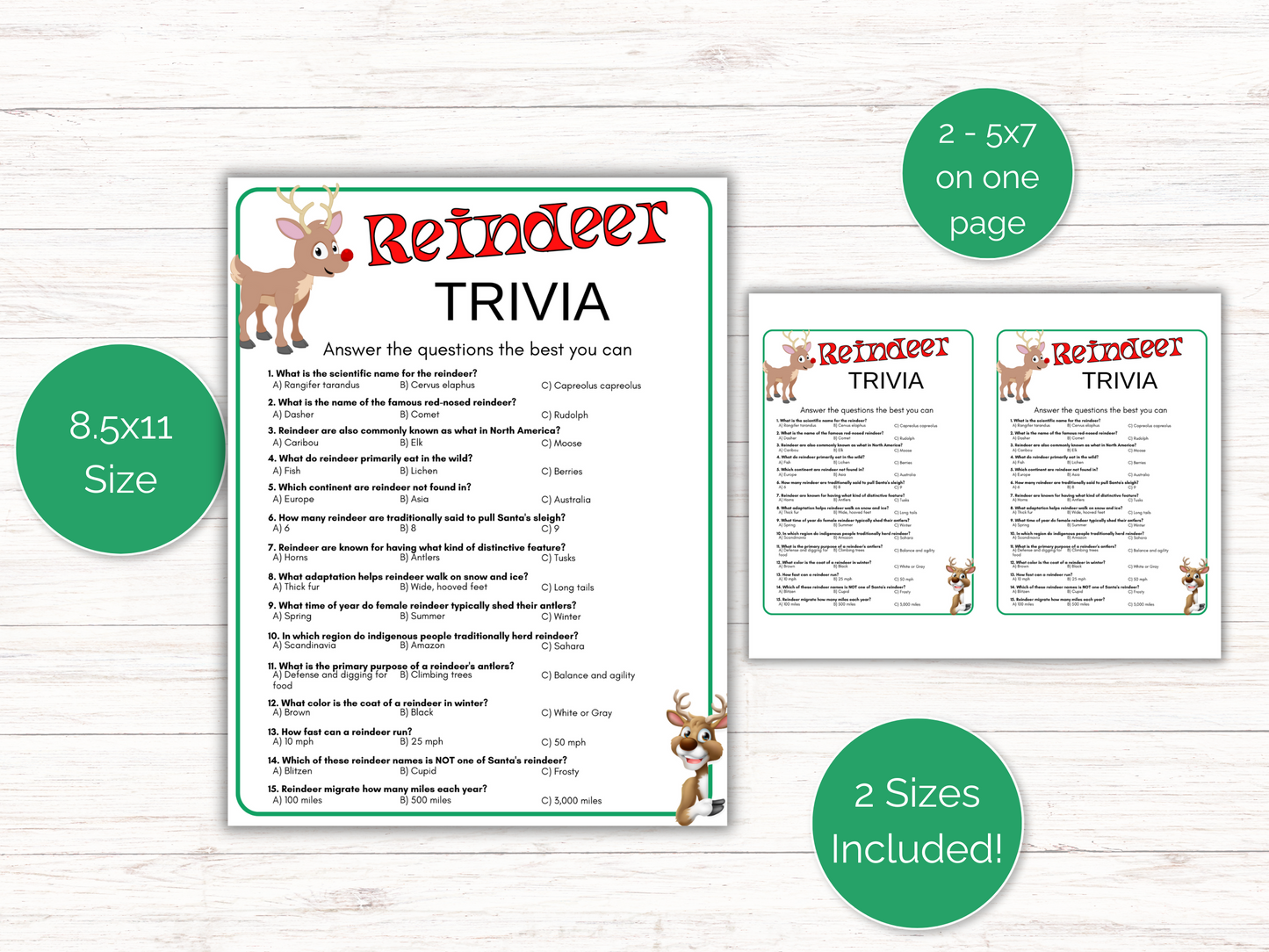 Reindeer Trivia