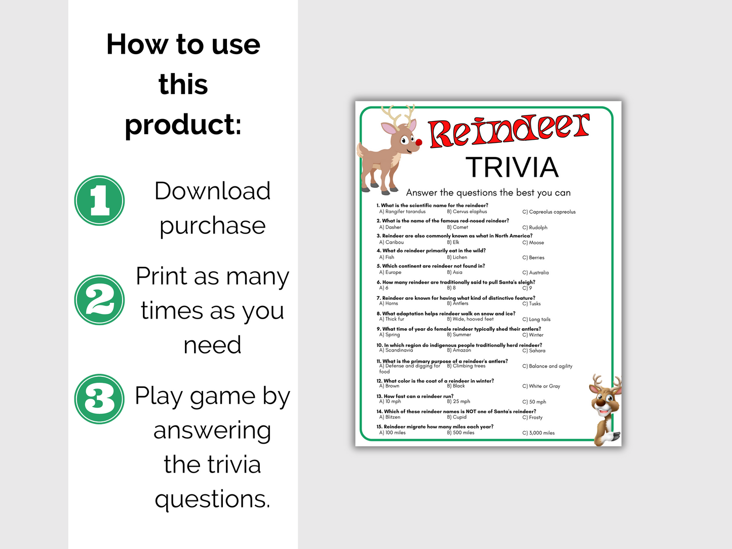 Reindeer Trivia