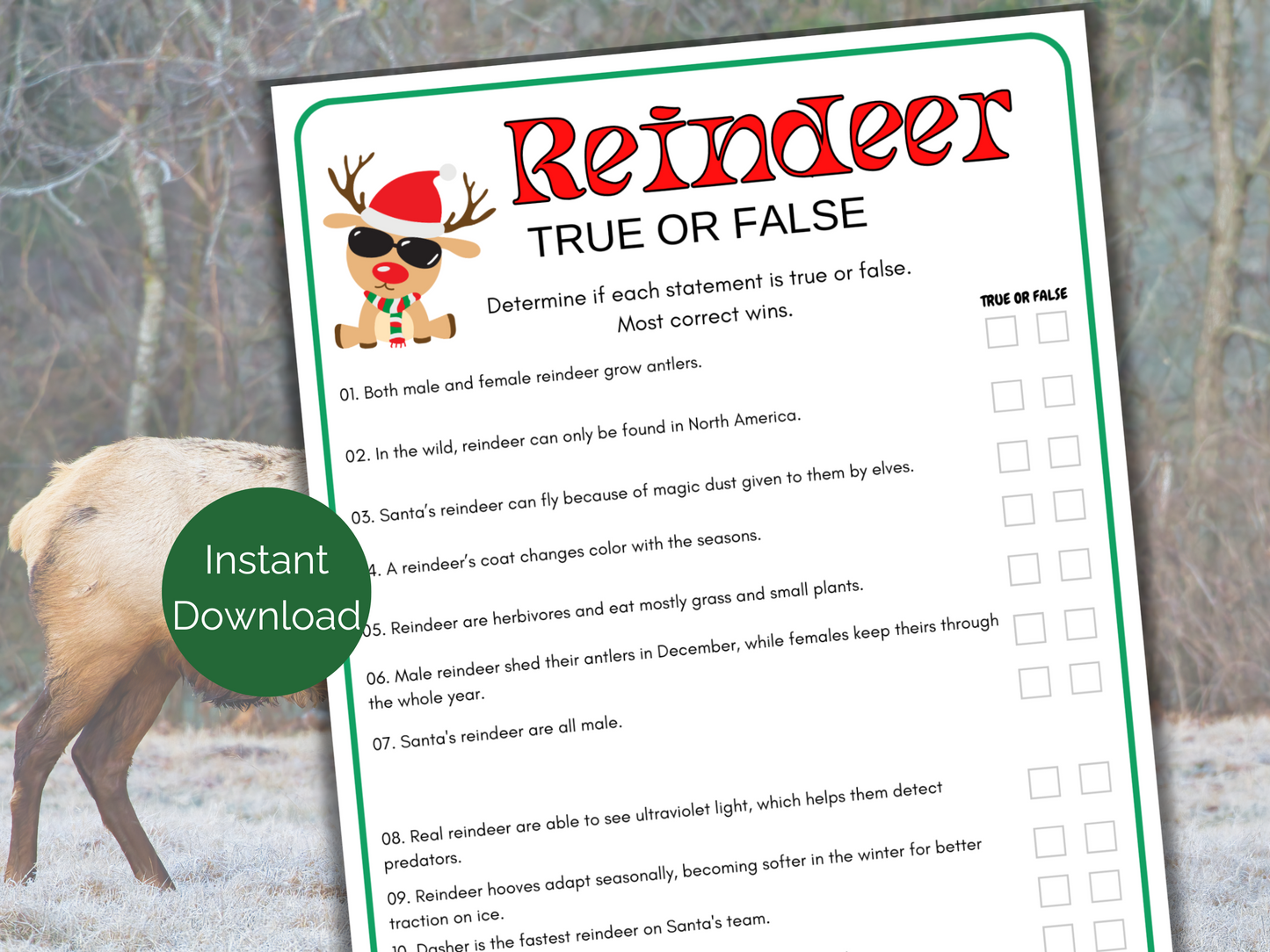 Reindeer True or False
