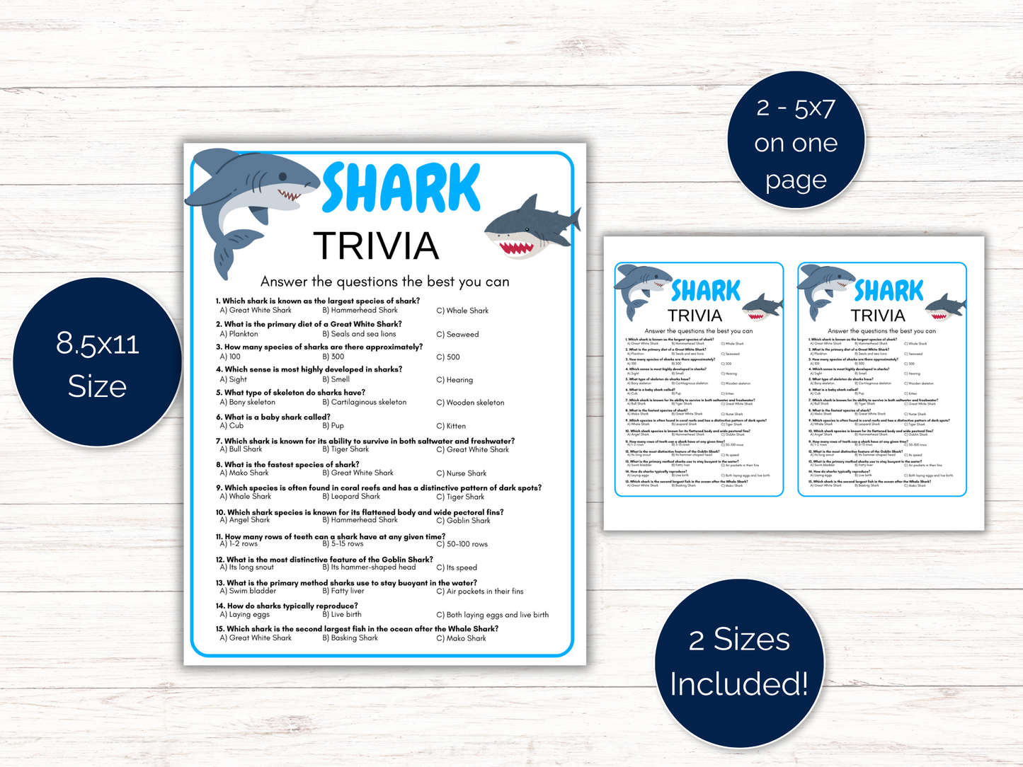 Shark Trivia Game